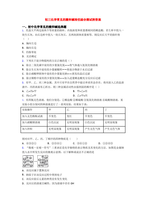 初三化学常见的酸和碱培优综合测试附答案