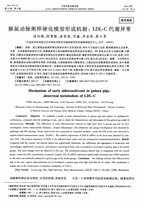 豚鼠动脉粥样硬化模型形成机制:LDL-C代谢异常