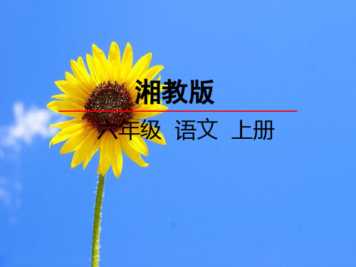 最新湘教版小学语文六年级上册课件:10表哥驾到课件 优质课件