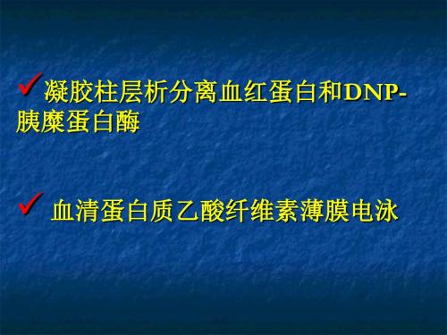 凝胶柱层析分离血红蛋白和DNP-胰糜蛋白酶.