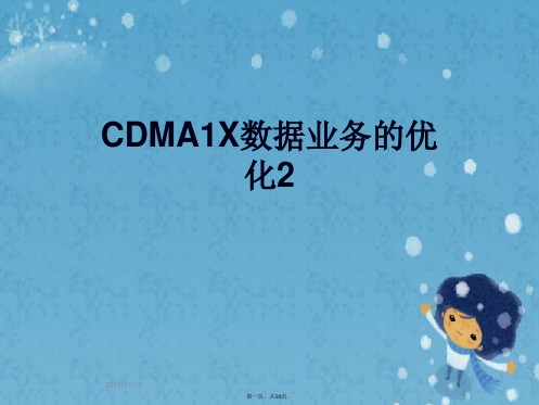 CDMA1X数据业务的优化2