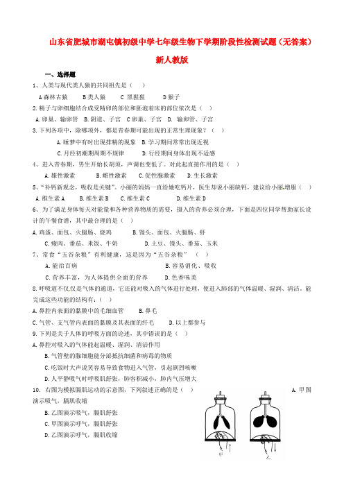 山东省肥城市湖屯镇初级中学七年级生物下学期阶段性检测试题(无答案) 新人教版