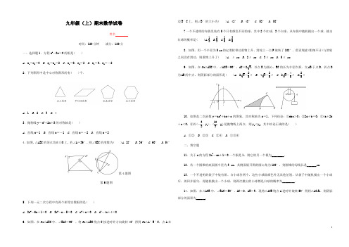 甘肃省武威市2019年人教版九年级(上)期末数学试卷(文字版有答案)