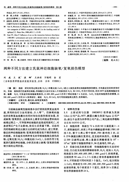 两种不同方法建立乳鼠神经细胞缺氧／复氧损伤模型