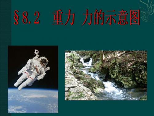 苏科版八年级物理下册《8.2重力 力的示意图》ppt课件(共18张PPT)