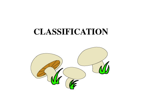 CLASSIFICATION