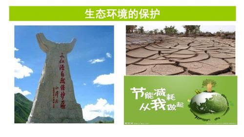 自主学习能力测评高三生物一轮复习生态环境的保护