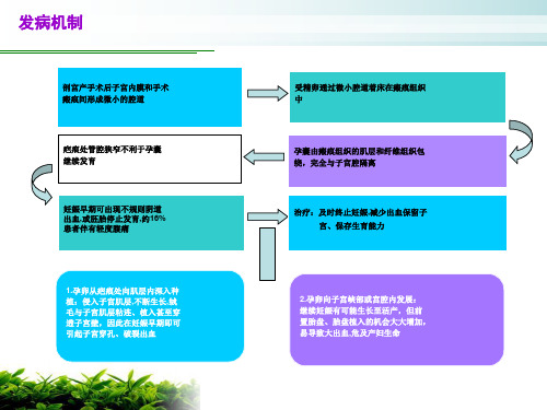 子宫切口妊娠的护理查房-PPT课件