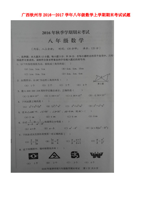 广西钦州市八年级数学上学期期末考试试题(扫描版)新人教版(new)