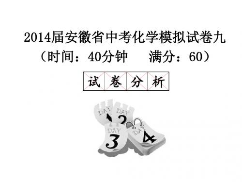 届安徽省中考化学模拟试卷九供教师使用【精选】