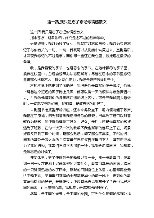 这一路,我只是忘了忘记你情感散文