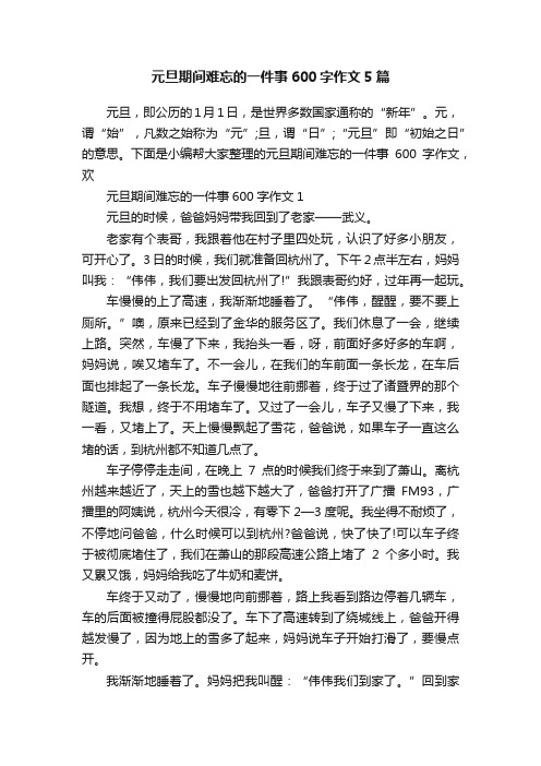 元旦期间难忘的一件事600字作文5篇