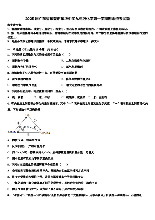 2025届广东省东莞市东华中学九年级化学第一学期期末统考试题含解析