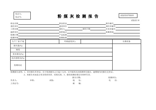 粉 煤 灰 检 测 报 告