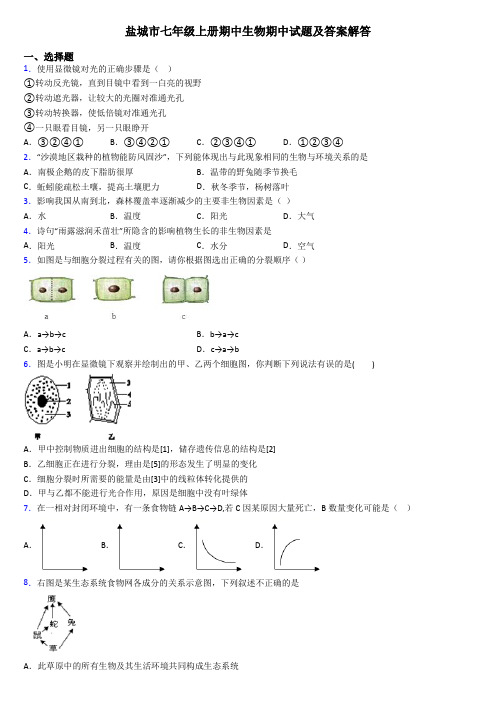 盐城市七年级上册期中生物期中试题及答案解答