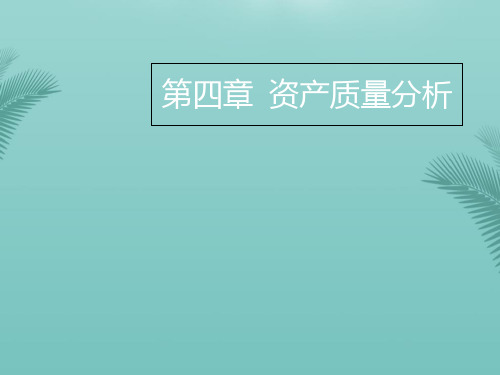 【精选】资产质量分析固定无形资产PPT