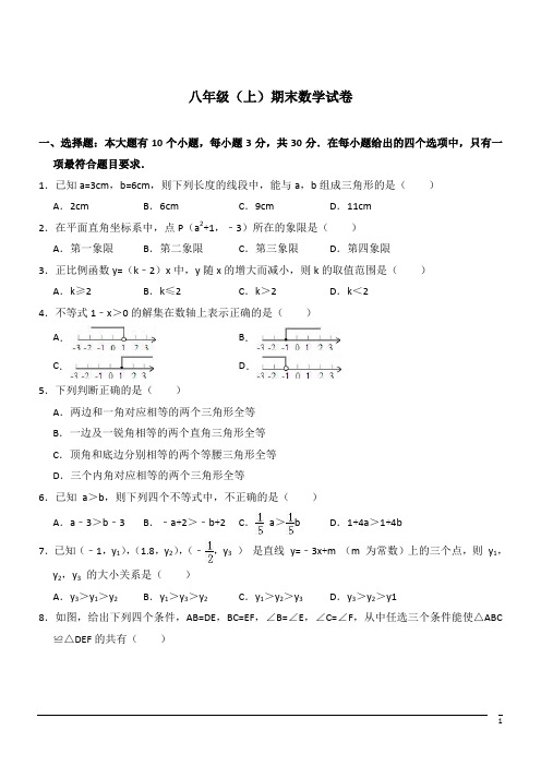 八年级上期末试卷--数学(解析版