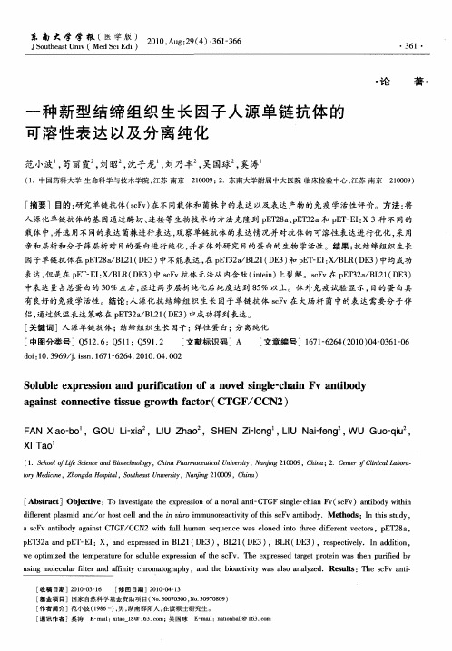 一种新型结缔组织生长因子人源单链抗体的可溶性表达以及分离纯化