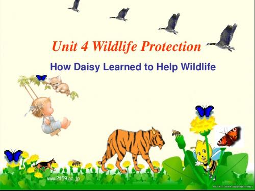 人教版高一英语必修二 Book2 Unit 4 Wildlife protection PPT课件