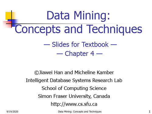 Chapter 4 Data Mining Primitives, Languages, and System Architectures 数据挖掘：概念与技术 英文版教