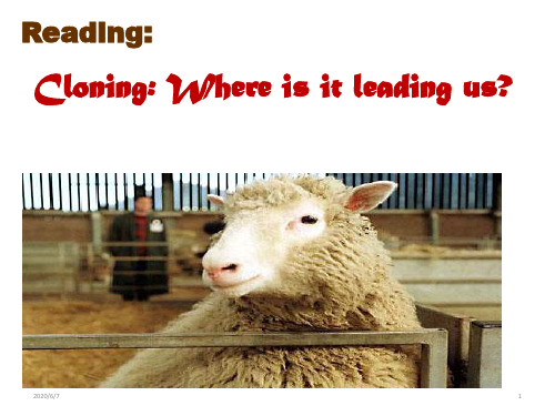 人教课标版高中英语选修8Unit2Reading (共21张PPT)