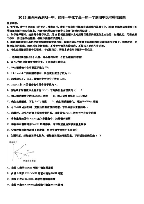 2025届湖南省浏阳一中、醴陵一中化学高一第一学期期中统考模拟试题含解析