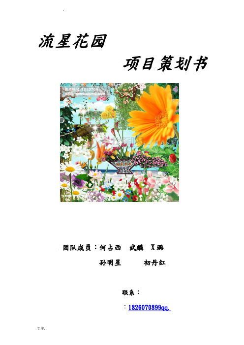 流星花园策划