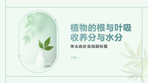 认识植物的根与叶吸收养分与水分