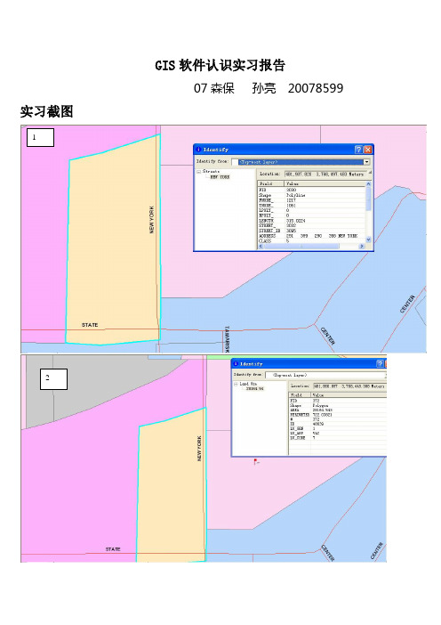 GIS软件认识实习报告