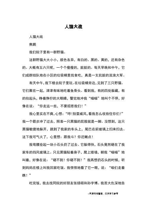 人猫大战_小学三四年级记事