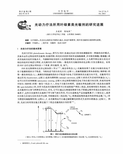 光动力疗法所用叶绿素类光敏剂的研究进展