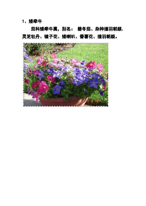 常见园林植物图鉴