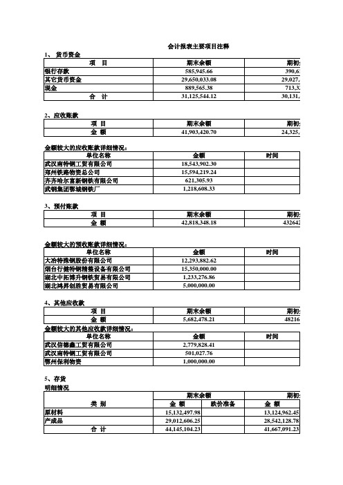 财务报表附注模板