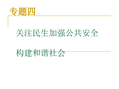 关注民生,加强公共安全构建和谐社会PPT课件