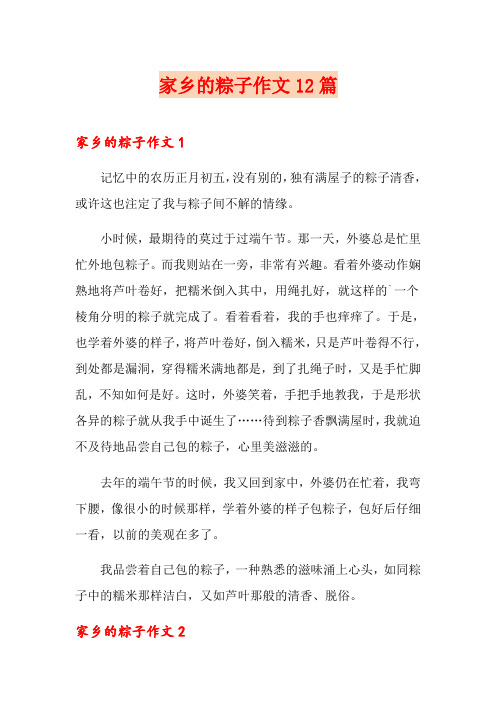 家乡的粽子作文12篇