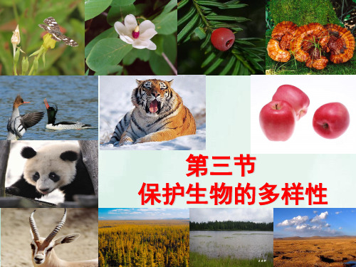 重庆四中八年级生物下册 第7单元 第3章 第3节 保护生物多样性课件 新版冀教版