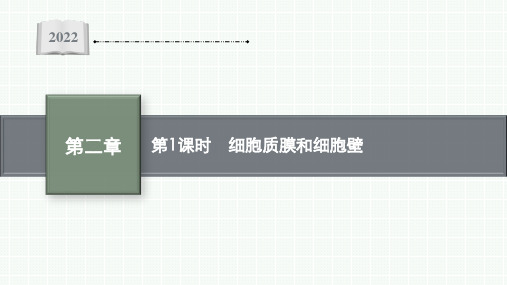 2022-2023学年 苏教版   必修一  细胞质膜和细胞壁(34张)课件