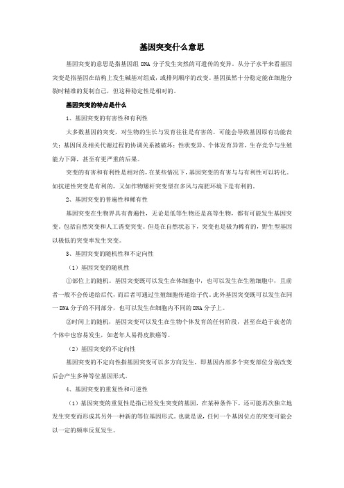 基因突变什么意思