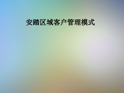 安踏区域客户管理模式