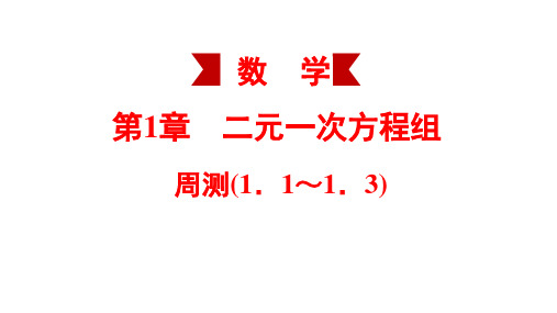 湘教版七年级数学下册第1章 二元一次方程组 周测练习课件(1.1-1.3) (共20张PPT)