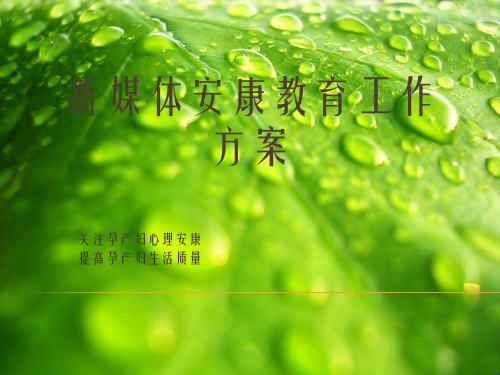 关注孕产妇心理健康幻灯片PPT