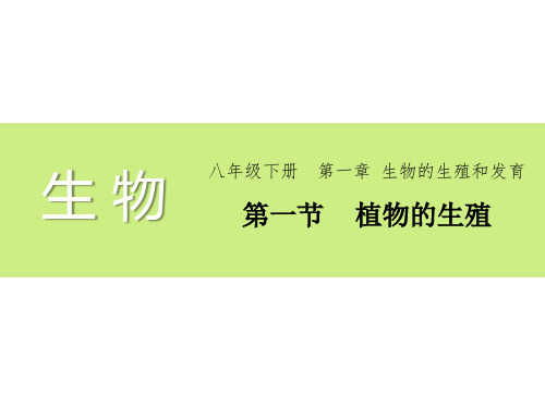 (名师整理)最新人教版生物8年级下册第1章第1节《植物的生殖》市公开课一等奖课件