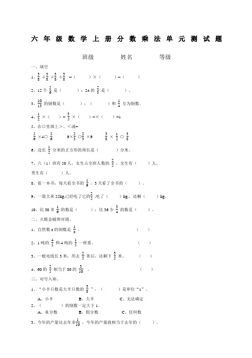 青岛版六年级数学上册分数乘法单元测试题