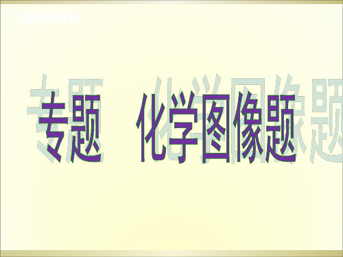 中考化学专题复习：化学图像题(31张PPT)