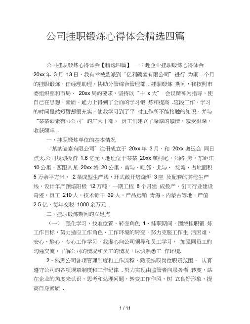 公司挂职锻炼心得体会精选四篇