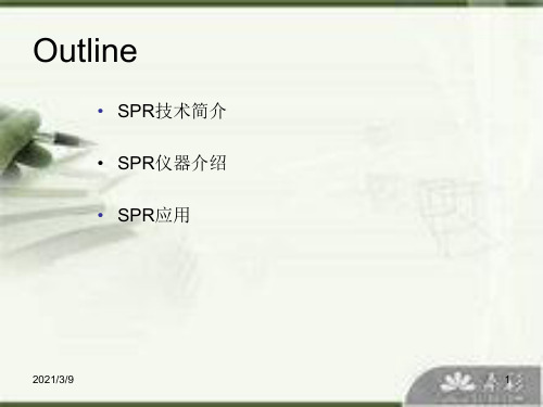 SPR技术简介PPT课件