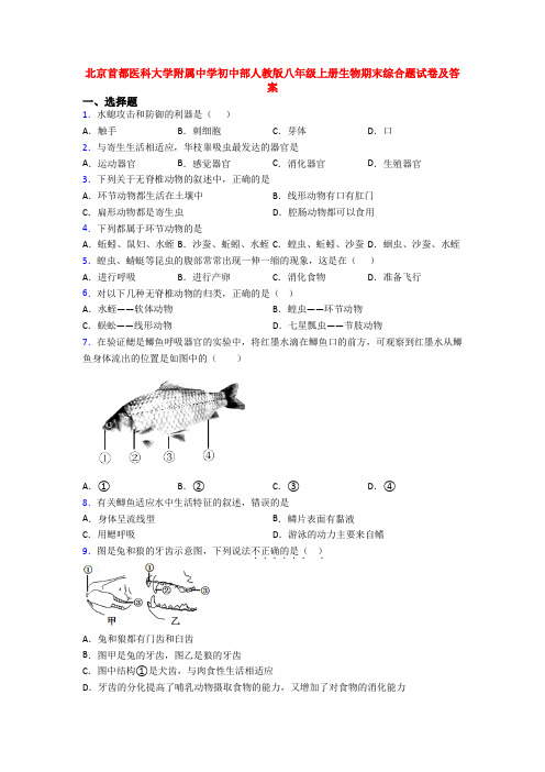 北京首都医科大学附属中学初中部人教版八年级上册生物期末综合题试卷及答案