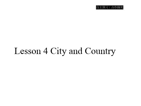 英语高中北师大必修1课件：Unit1Lesson4CityandCountry