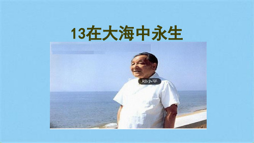 13在大海中永生(共7张PPT)