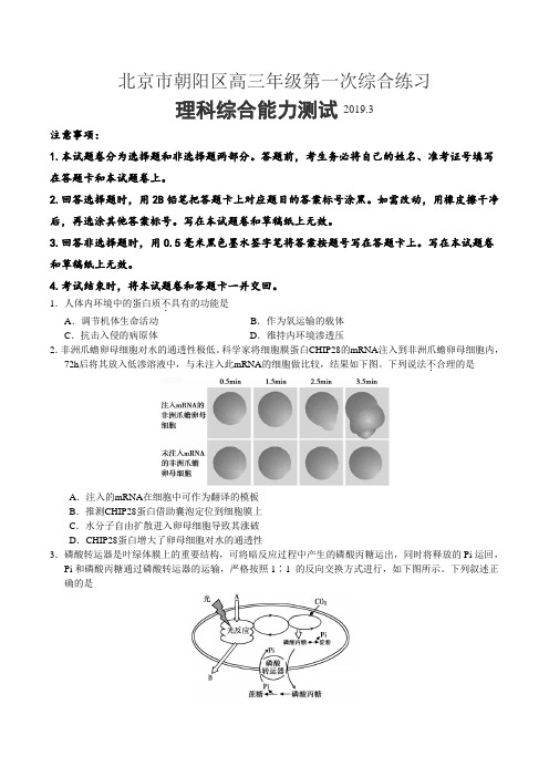 北京市朝阳区2019届高三年级第一次综合练习(3月)理科综合试题